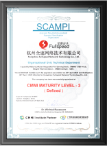 CMMI3国际认证企业